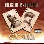 Track cover